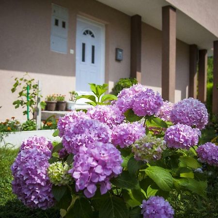 Ferienwohnung Kuca Bulajic Budva Exterior foto